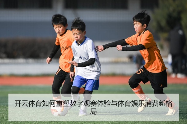 开云体育如何重塑数字观赛体验与体育娱乐消费新格局